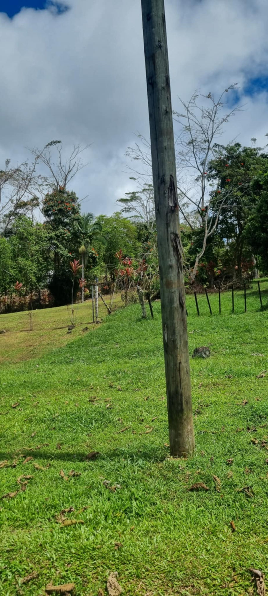 SOLD -   1/4 acre section for sale - Vaoala ( on Pevilla Rd)
