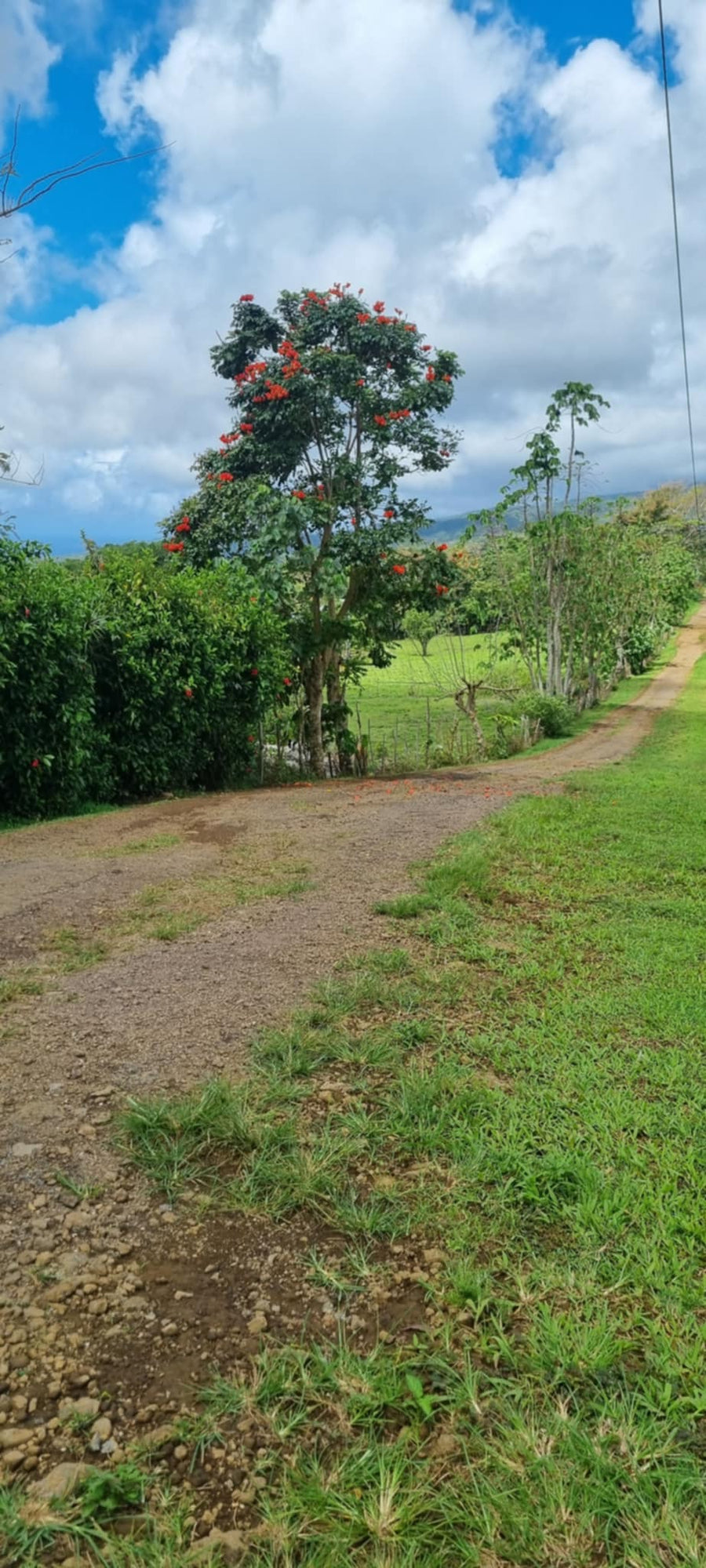 SOLD -   1/4 acre section for sale - Vaoala ( on Pevilla Rd)