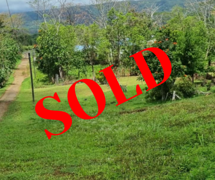 SOLD -   1/4 acre section for sale - Vaoala ( on Pevilla Rd)
