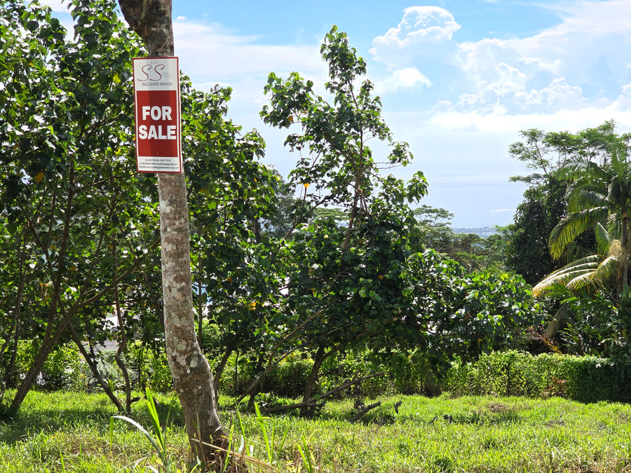 1 ACRE  FOR SALE- TIAPAPATA