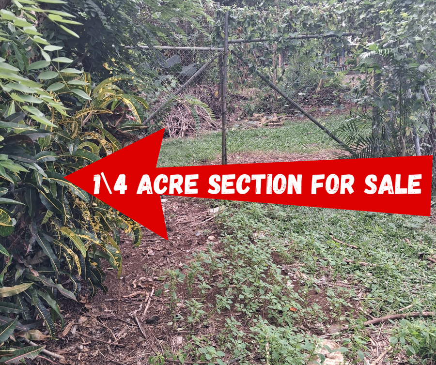UNDER CONTRACT  – ¼ ACRE LAND | VAITELE
