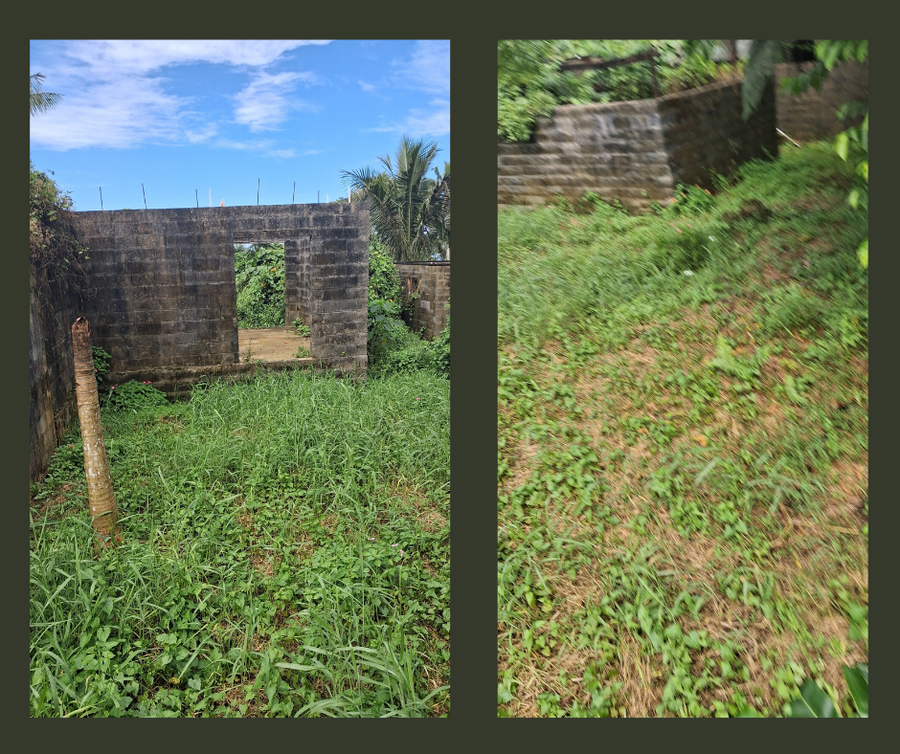 FOR SALE | TIAVI   | Land Size: 6 Acres (Freehold)