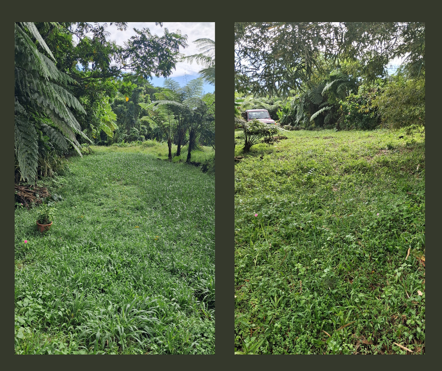 FOR SALE | TIAVI   | Land Size: 6 Acres (Freehold)