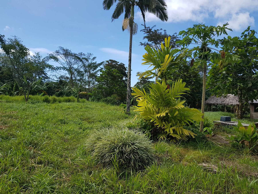 FOR SALE: 1/2 Acre of Fertile Land in Aleisa Heights