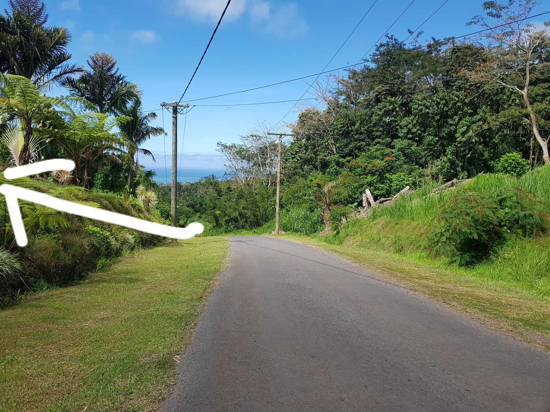 FOR SALE: 1/2 Acre of Fertile Land in Aleisa Heights