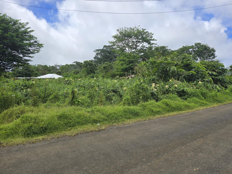 3\4 Acre section for sale - AFIAMALU