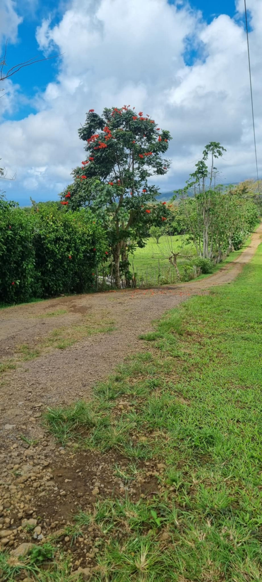 Under Contract  1/4 acre section for sale - Vaoala ( on Pevilla Rd)