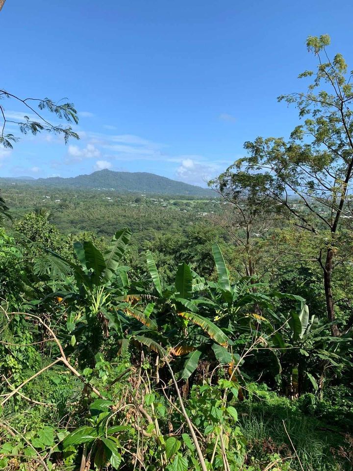 8 acres of prime land located LETOGO   (Upolu Island, Samoa)