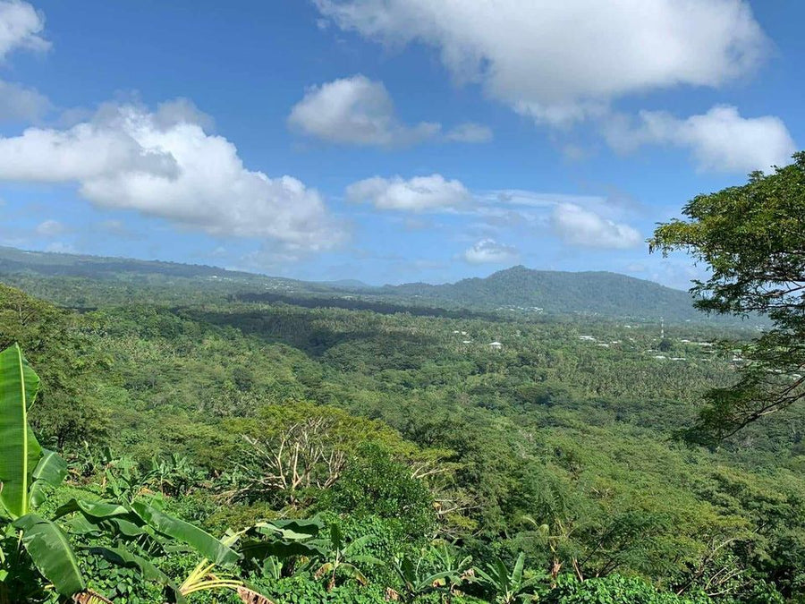 8 acres of prime land located LETOGO   (Upolu Island, Samoa)