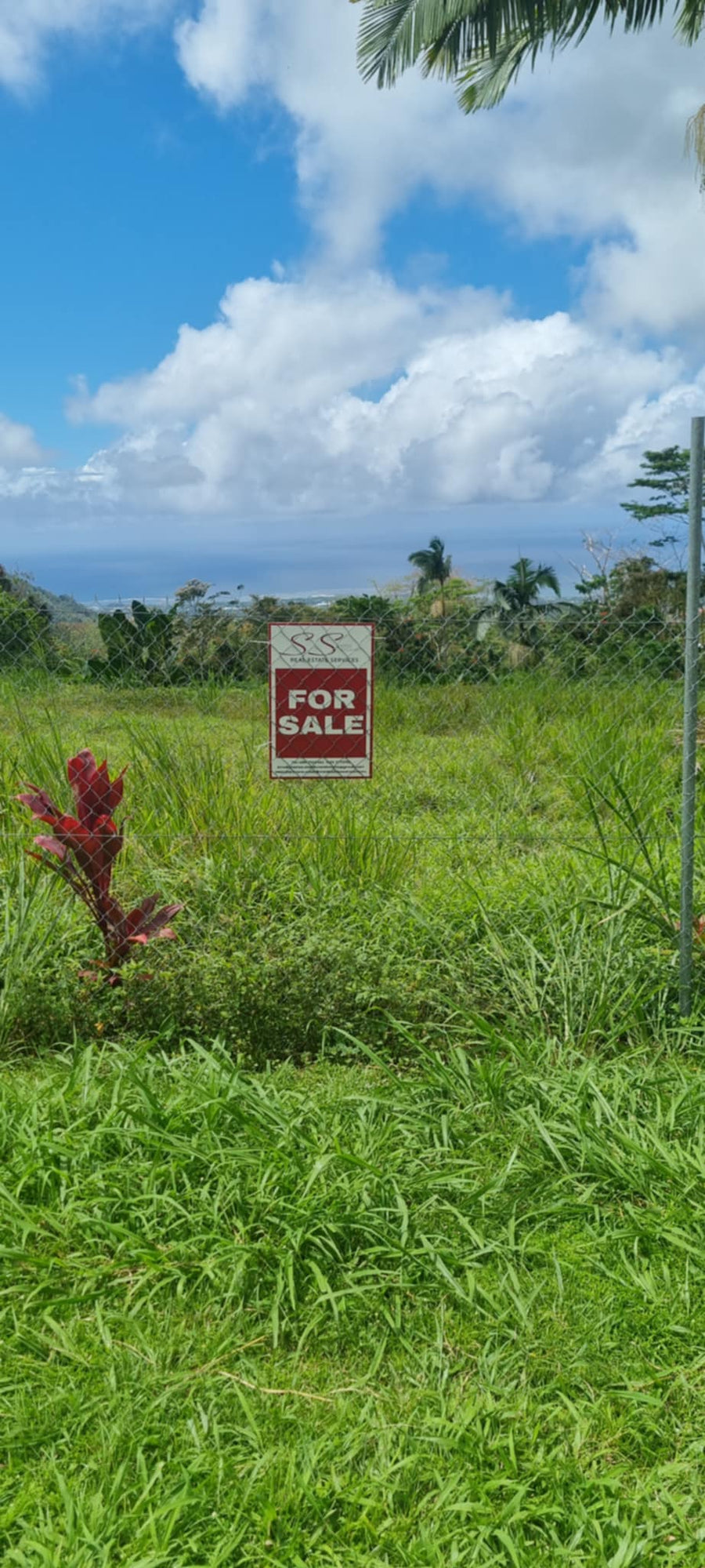 1 ACRE cleared and fenced with amazing views - Lamosa Rd, TIAPAPATA