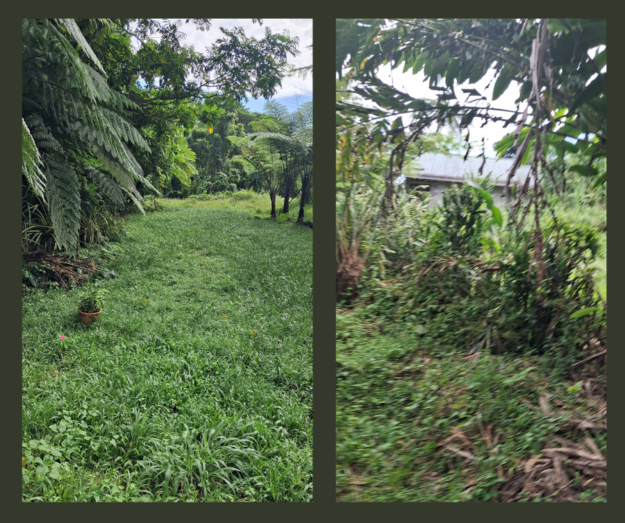 FOR SALE | TIAVI   | Land Size: 6 Acres (Freehold)