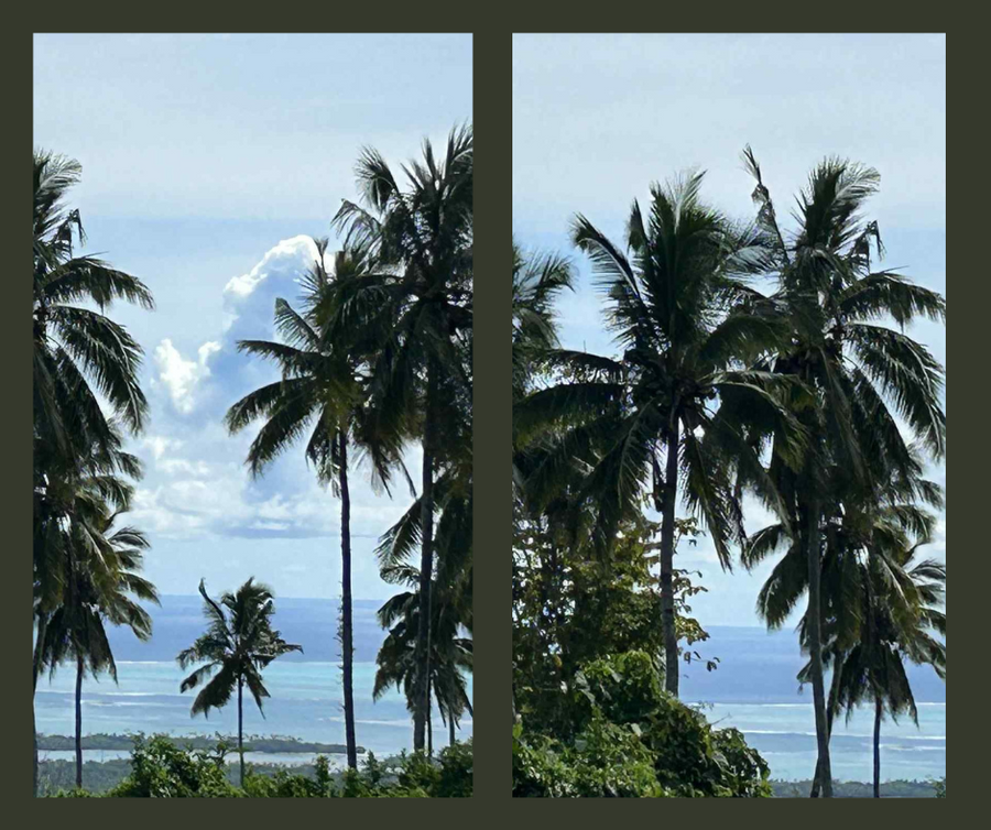 FOR SALE | TIAVI   | Land Size: 6 Acres (Freehold)