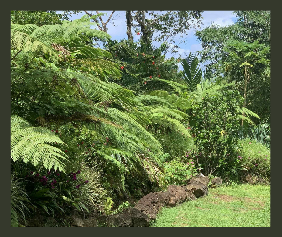 FOR SALE | TIAVI   | Land Size: 6 Acres (Freehold)