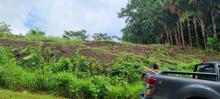 Vacant Land - Aleisa (Upolu Island, Samoa)