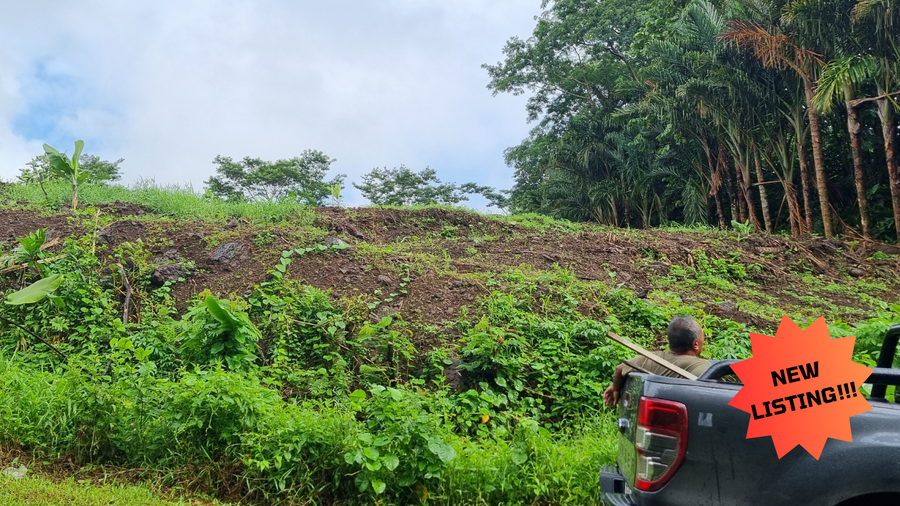 Vacant Land - Aleisa (Upolu Island, Samoa)