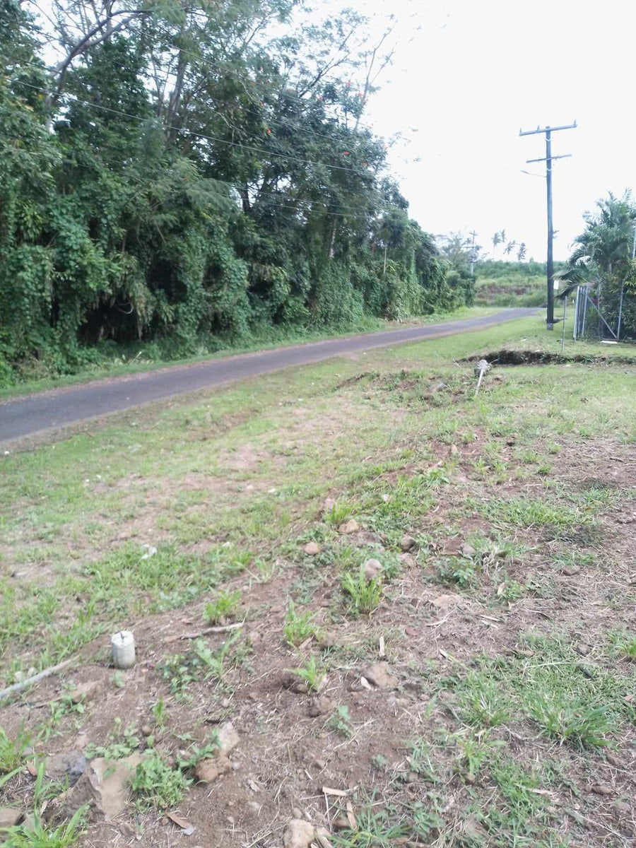 Vacant Land - Aleisa  ( Leopodine Rd)  2 x 1/4 acres partially fenced