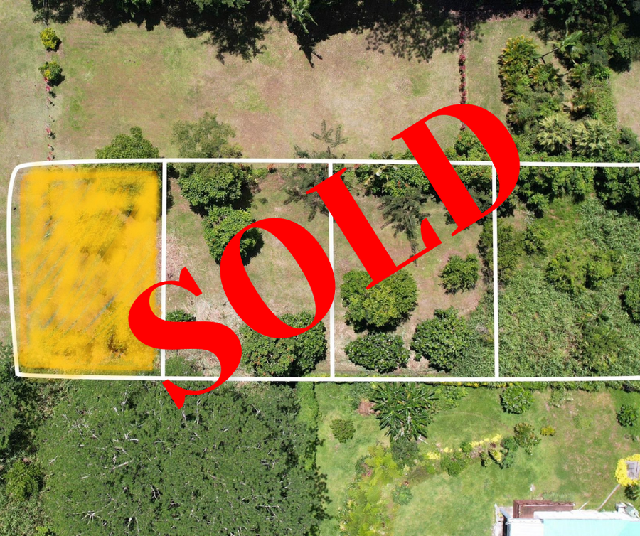 SOLD - Vacant Land - Tiapapata (Upolu Island, Samoa)