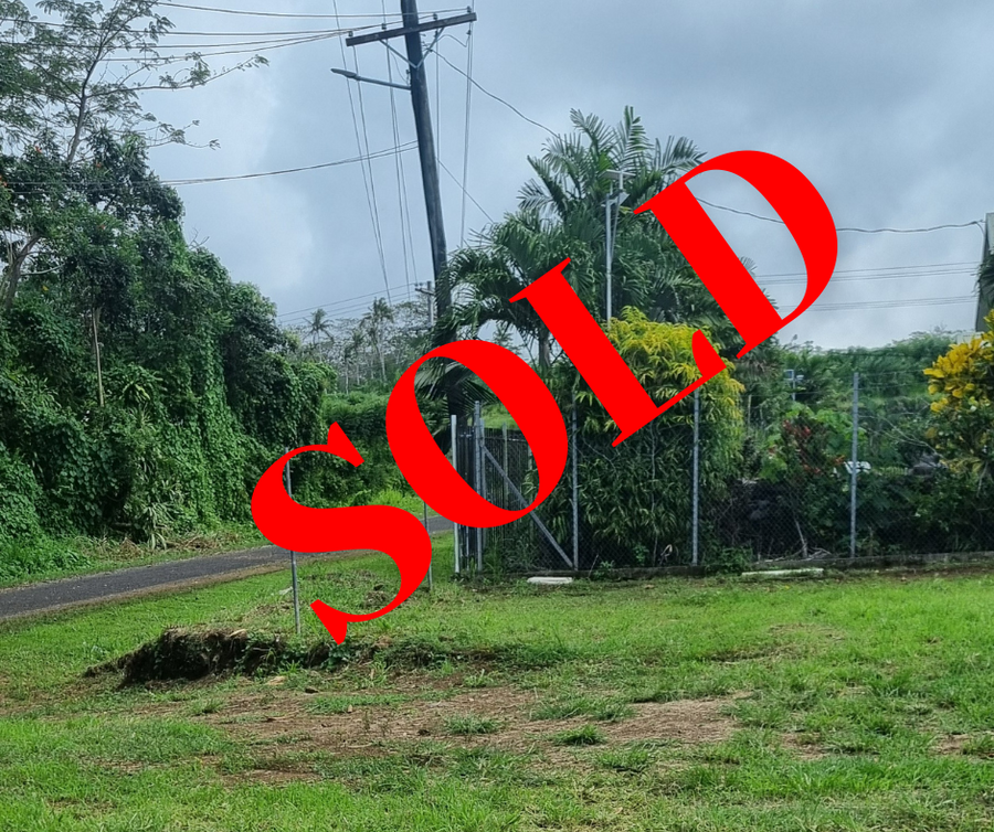 SOLD - Vacant Land - Aleisa  ( Leopodine Rd)  2 x 1/4 acres partially fenced