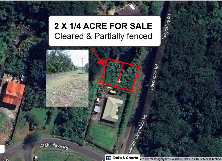 Vacant Land - Aleisa  ( Leopodine Rd)  2 x 1/4 acres partially fenced