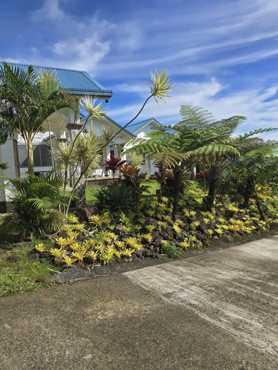 FOR SALE: Sky View Villas – Tiapapata