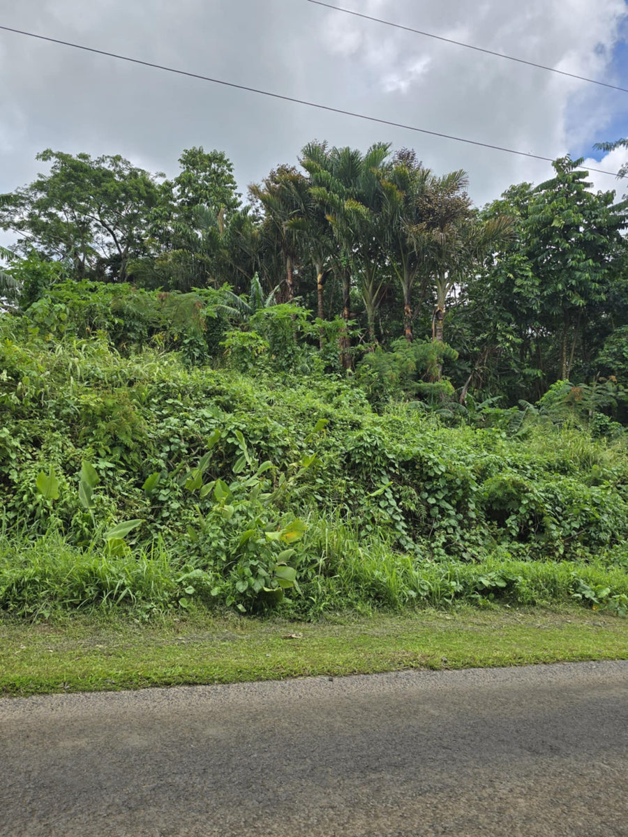 1/4 acre for sale ALEISA