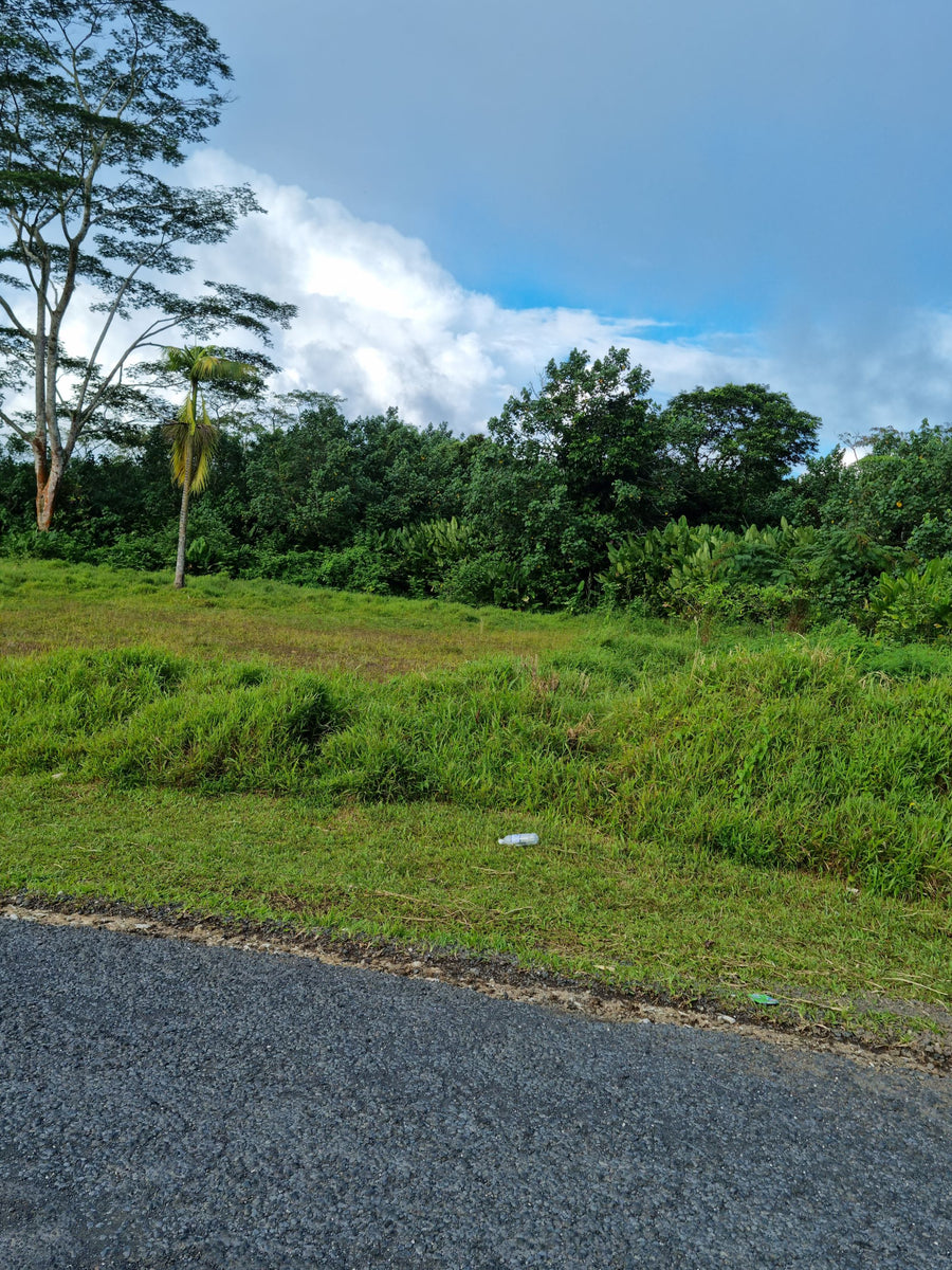 Vacant Land - Afiamalu  (Upolu Island, Samoa)