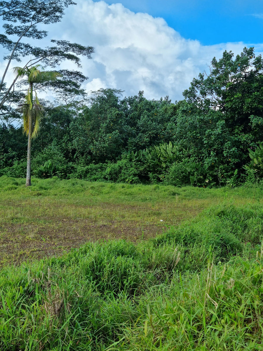 Vacant Land - Afiamalu  (Upolu Island, Samoa)