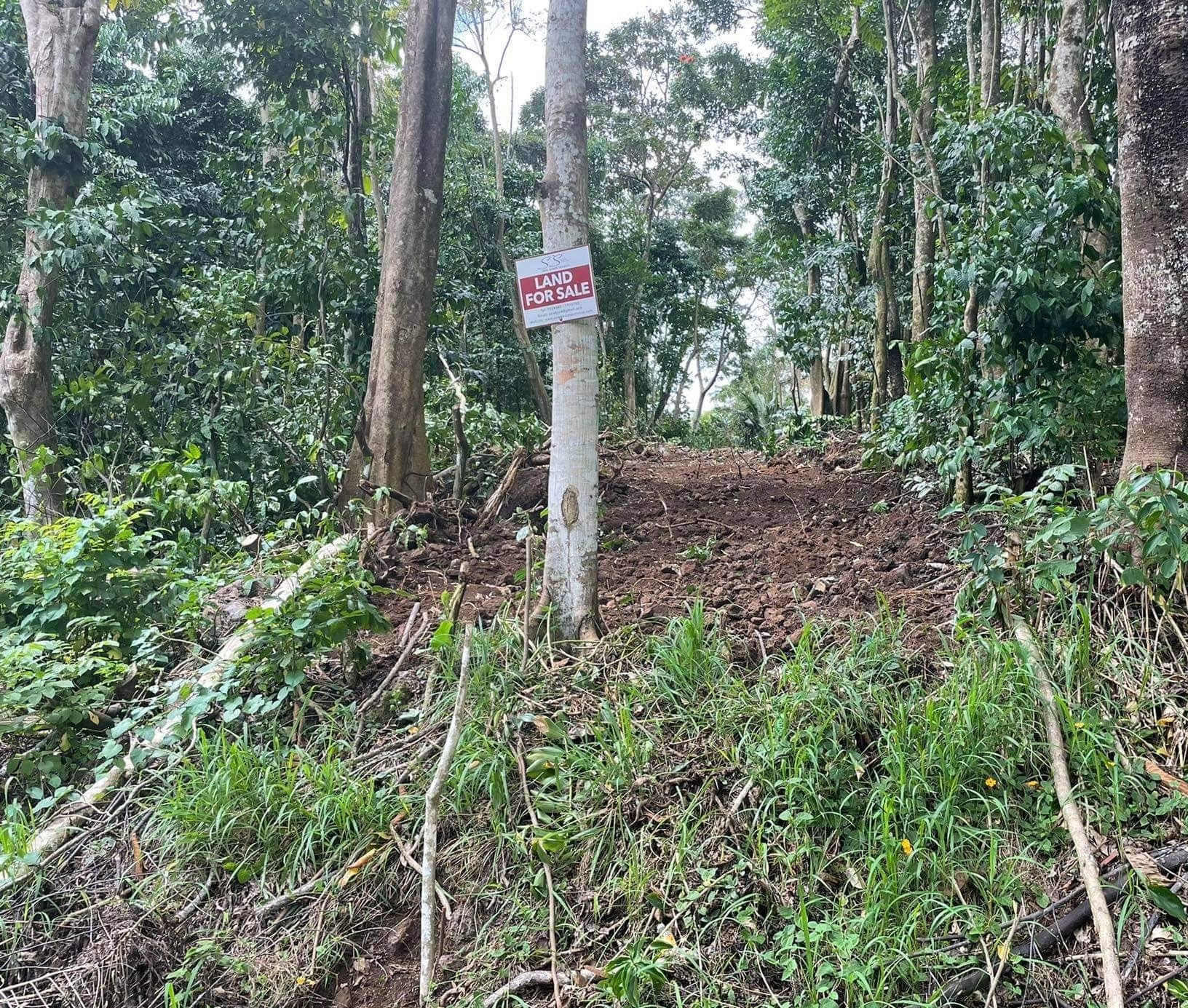 Vacant Land - Aleisa 4 (Upolu Island, Samoa)