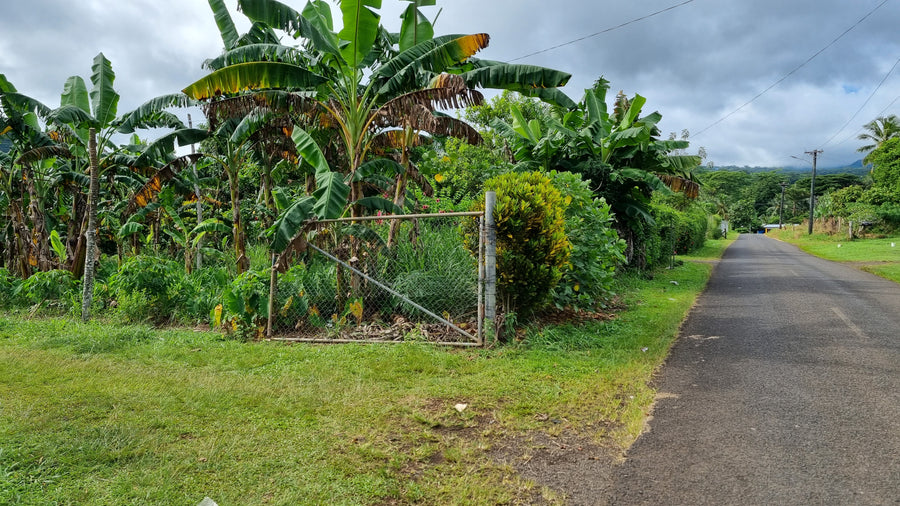 Vacant Land - Vailele 2 (Upolu Island, Samoa)